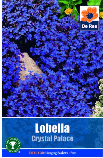 De Ree Lobelia Crystal Palace Seed