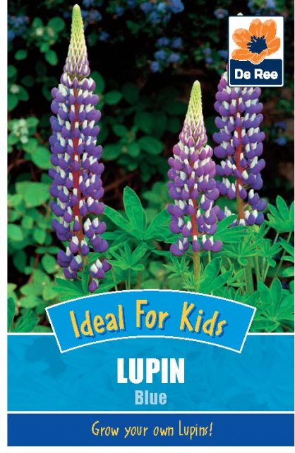 De Ree Lupin Blue Seed