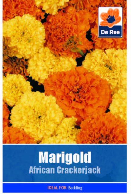 De Ree Marigold African Crackerjack Seed