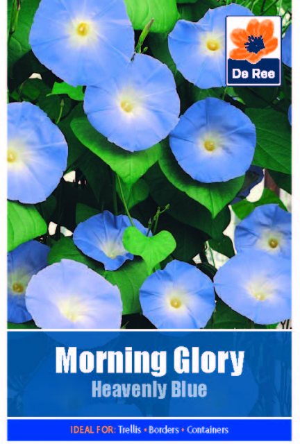 De Ree Morning Glory Heavenly Blue Seed