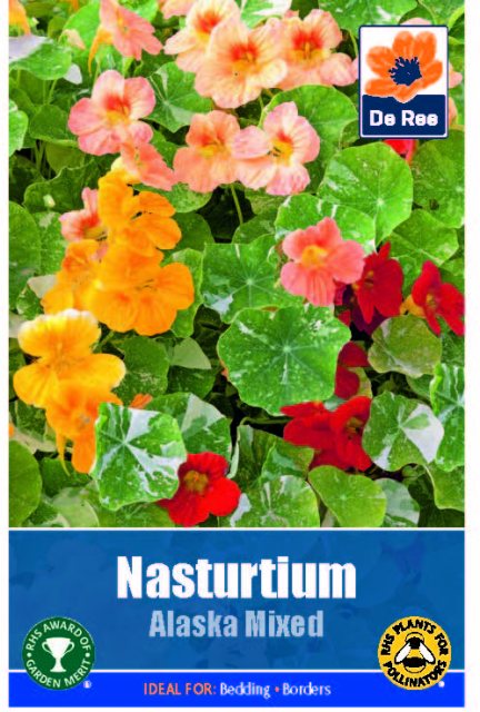 De Ree Nasturtium Alaska Mixed Seed