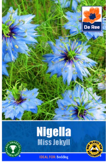 De Ree Nigella Miss Jeckyll Seed