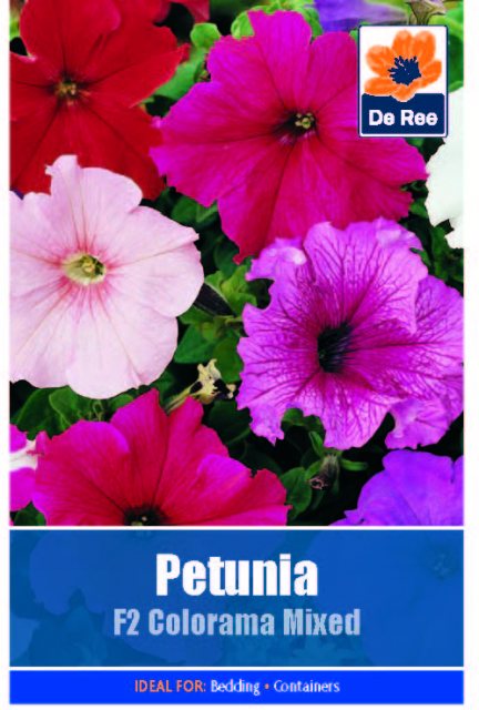 De Ree Petunia F2 Colorama Mixed Seed