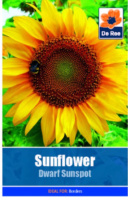 De Ree Sunflower Dwarf Sunspot Seed