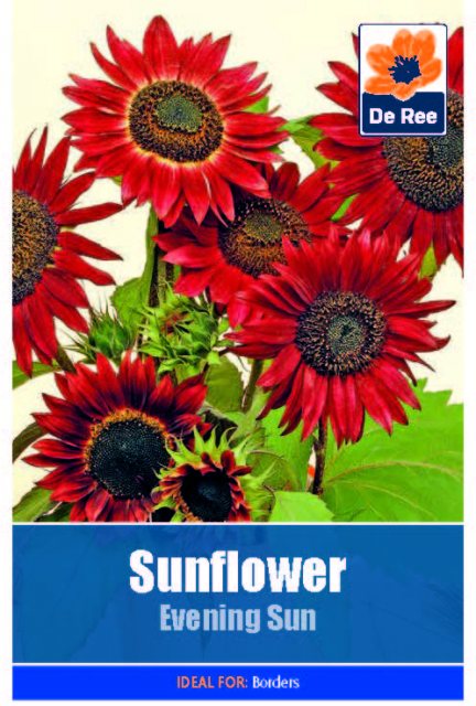 De Ree Sunflower Evening Sun Seed