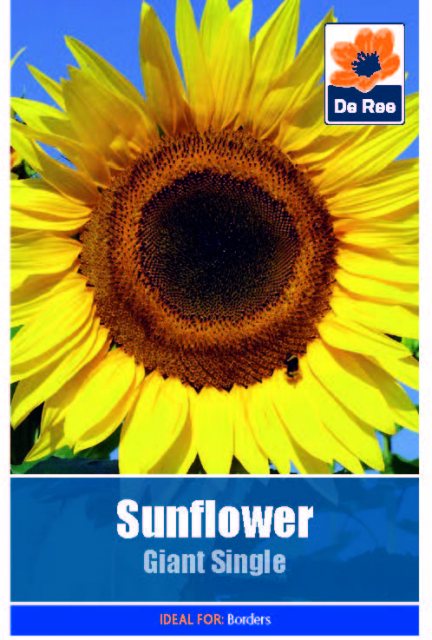 De Ree Sunflower Giant Single Seed