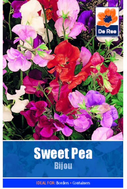 De Ree Sweet Pea Bijou Seed