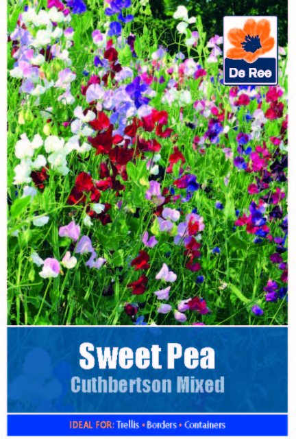 De Ree Sweet Pea Cuthbertson Mixed Seed