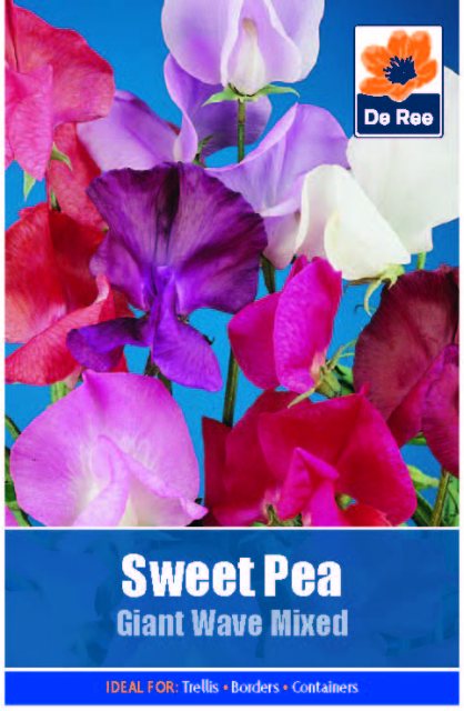 De Ree Sweet Pea Giant Wave Mixed Seed