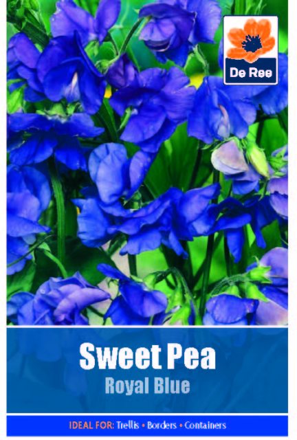 De Ree Sweet Pea Royal Blue Seed