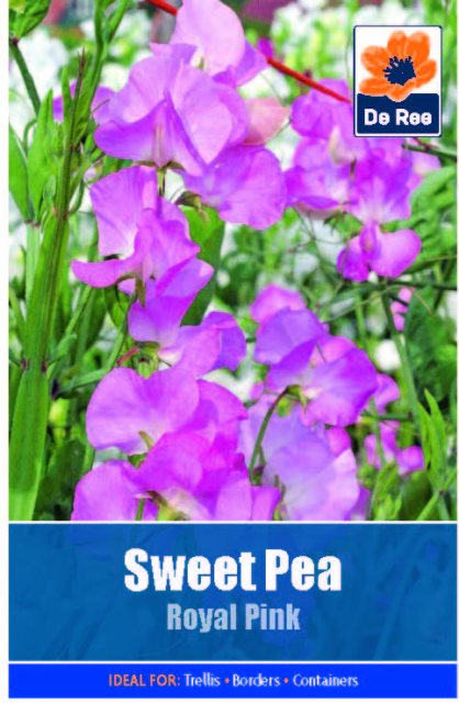 De Ree Sweet Pea Royal Pink