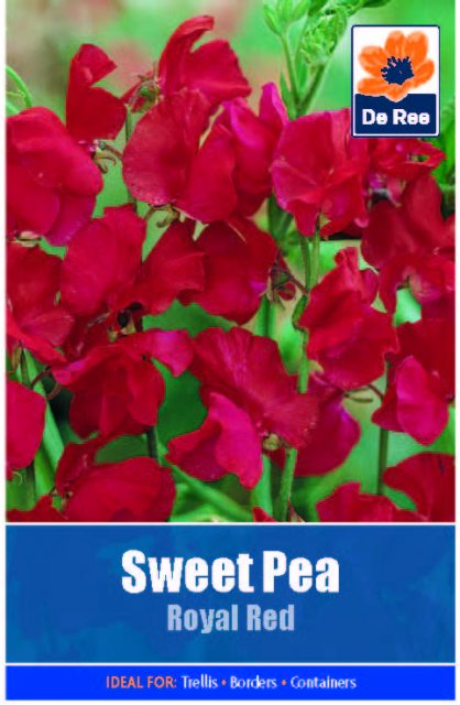 De Ree Sweet Pea Royal Red Seed