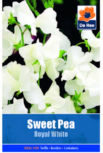 De Ree Sweet Pea Royal White Seed