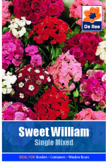 De Ree Sweet William Single Mixed Seed