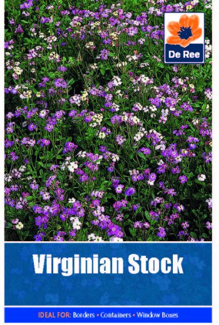 De Ree Virginian Stock Seed