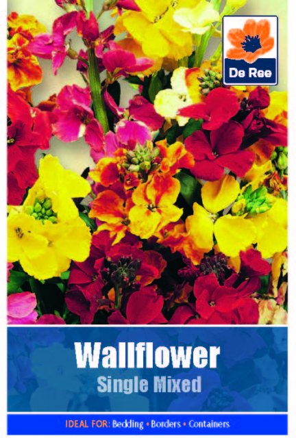 De Ree Wallflower Single Mixed Seed