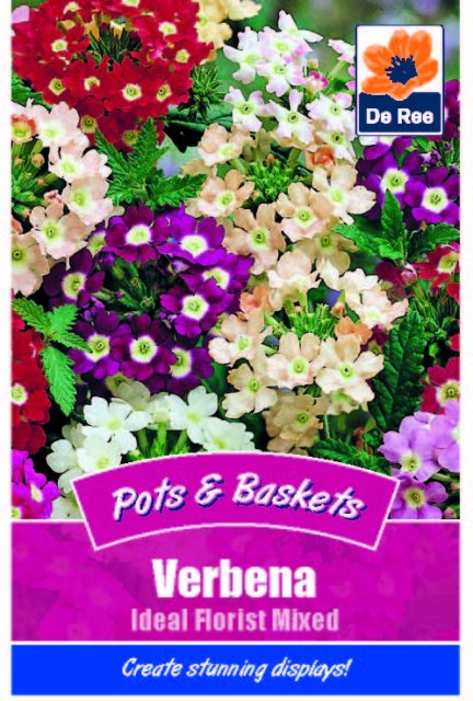 De Ree Verbena Ideal Florist Mixed Seed