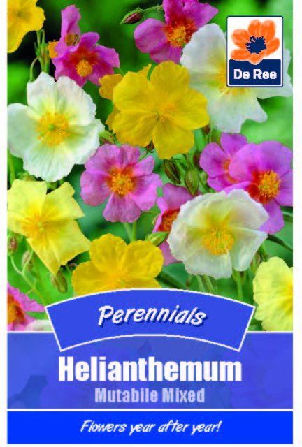 De Ree Helianthemum Mutabile Mixed Seed