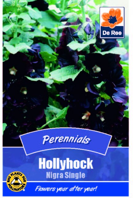 De Ree Hollyhock Nigra Single Seed