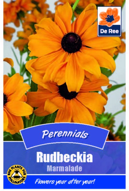 De Ree Rudbeckia Marmalade Seed