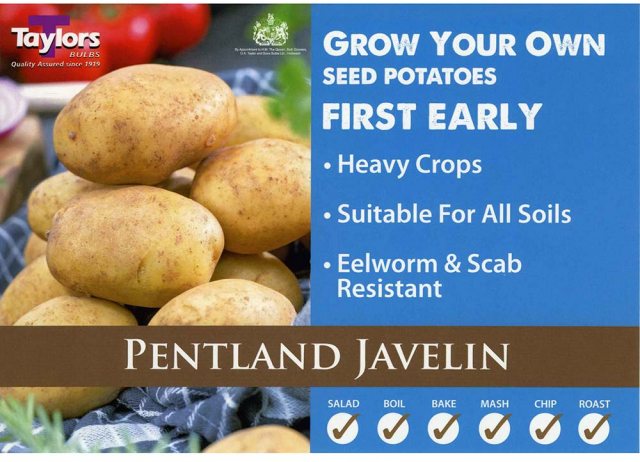 Taylors Bulbs Taylor's Bulbs Seed Potatoes Pentland Javelin 2kg