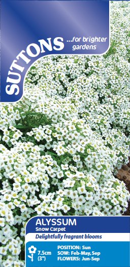 SUTTONS Suttons Alyssum Snow Carpet Seeds