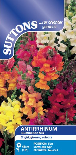 SUTTONS Suttons Antirrhinum Illumination Mix Seeds