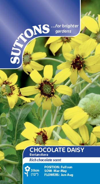 SUTTONS Suttons Berlandiera Chocolate Daisy Seeds