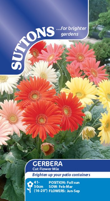 SUTTONS Suttons Gerbera Cut Flower Mix Seeds