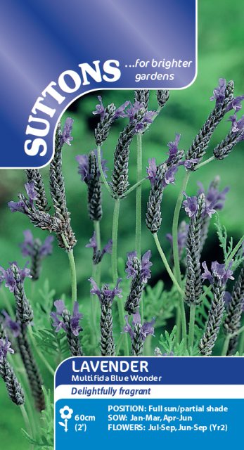 SUTTONS Suttons Lavender Multifda Blue Wonder Seeds