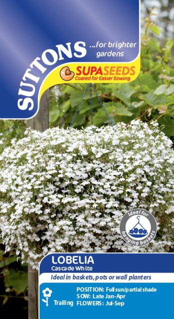 SUTTONS Suttons Lobelia Cascade White Seeds