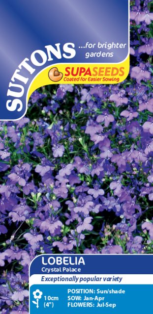 SUTTONS Suttons Lobelia Crystal Palace Seeds