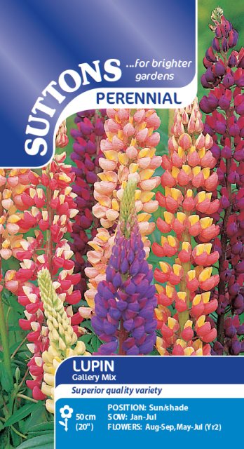 SUTTONS Suttons Lupin Gallery Mix Seeds