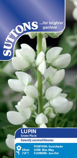 SUTTONS Suttons Lupin Snow Pixie Seeds