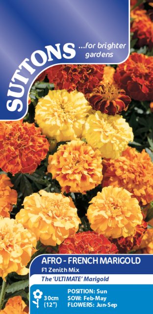 SUTTONS Afro French Marigold Seeds