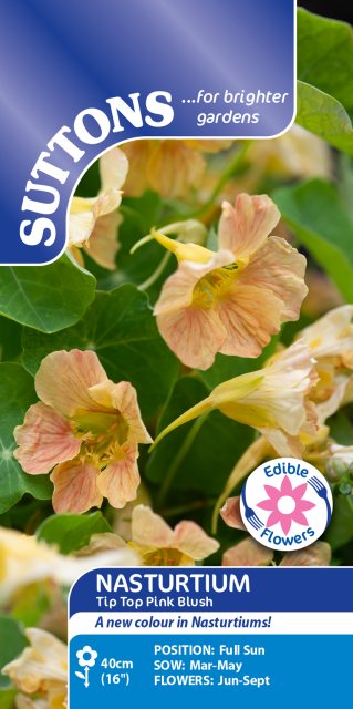 SUTTONS Suttons Nasturtium Tip Top Pink Blush Seeds