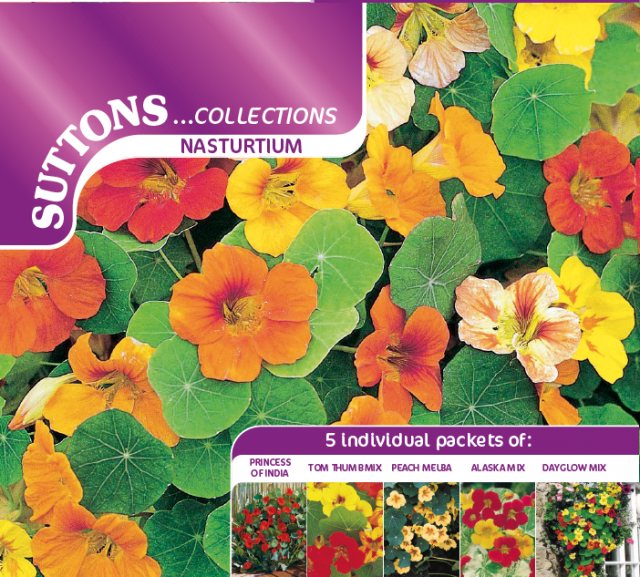 SUTTONS Suttons Nasturtium Collection Of Seeds