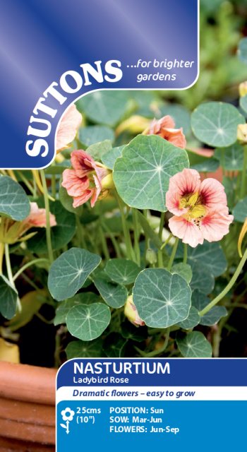 SUTTONS Suttons Nasturtium Ladybird Rose Seeds