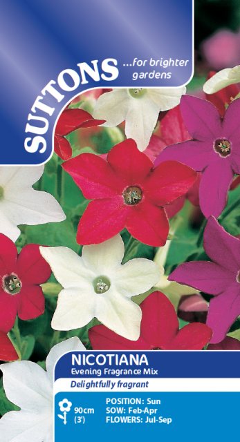 SUTTONS Suttons Nicotiana Evening Fragrance Mix Seeds