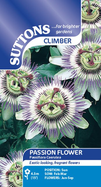 SUTTONS Suttons Passion Flower Caerulea Seed