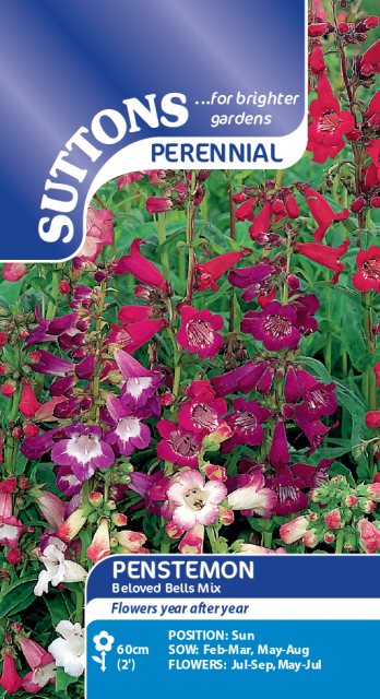 SUTTONS Suttons Penstemon Beloved Bells Mix Seeds