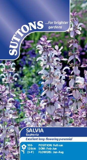 SUTTONS Suttons Salvia Euphoria Seeds