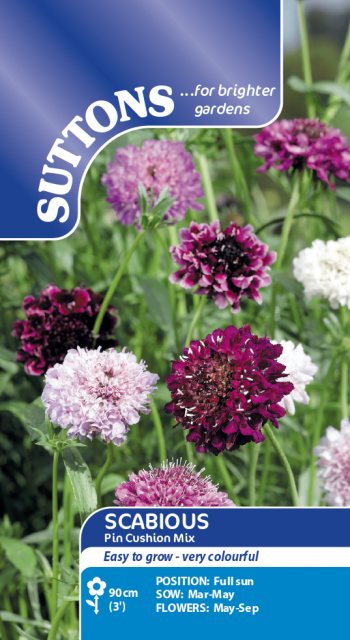 SUTTONS Suttons Scabious Pin Cushion Mix Seeds