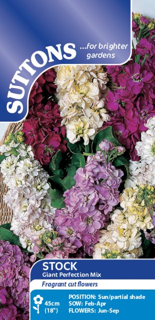 SUTTONS Suttons Stock Giant Perfection Mix Seeds