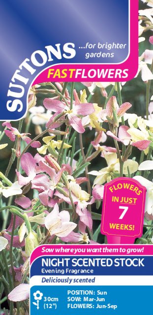 SUTTONS Suttons Night Scented Stock Evening Fragrance Seeds