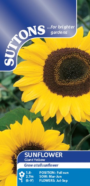 SUTTONS Suttons Sunflower Giant Yellow Seeds