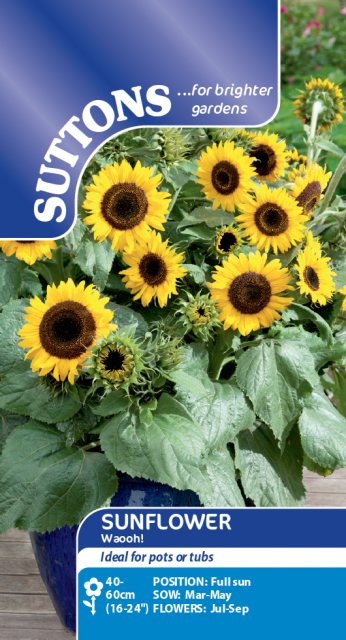 SUTTONS Suttons Sunflower Waooh! Seeds