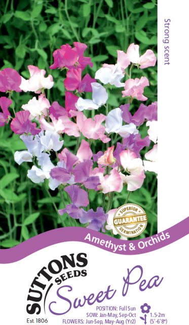 SUTTONS Suttons Sweet Pea Amethyst & Orchids Seeds