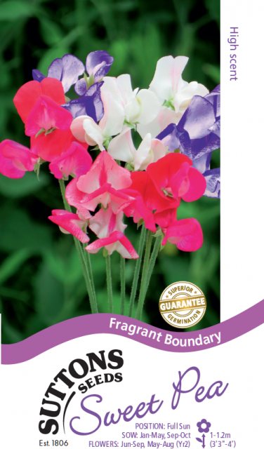 SUTTONS Suttons Sweet Pea Fragrant Boundary Seeds