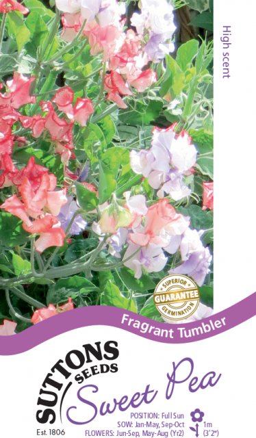 SUTTONS Suttons Sweet Pea Fragrant Tumbler Seeds